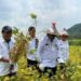 Menteri Pertanian Syahrul Yasin Limpo (kedua kanan) memanen kedelai di Serang Banten, Rabu (14/9/2022). (MASAPNEWS/ANT/HO-Kementerian Pertanian)