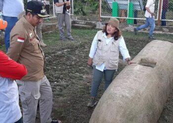 Arsip Foto. Situs Batu Silindrik Pratintuo di Desa Dusun Tuo, Kecamatan Lembah Masurai, Kabupaten Merangin, Provinsi Jambi. (MASAPNEWS/ANT/HO-Diskominfo Jambi)
