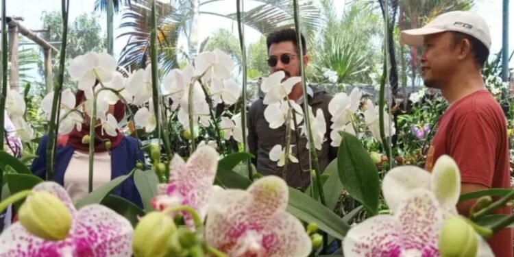Ilustrasi: Beberapa pengunjung melihat berbagai jenis bunga anggrek yang dijual Lombok Orchid, Kota Mataram, NTB, salah satu pelaku UMKM yang berani berinvetasi di sektor florikultura karena memiliki pasar yang potensial seiring berkembangnya industri pariwisata dan properti. (MASAPNEWS/ANT)