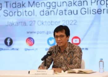 Wakil Ketua Internal Komnas HAM RI Munafrizal Manan saat konferensi pers di Jakarta, Kamis (27/10/2022). (MASAPNEWS/ANT/HO-Humas Komnas HAM).