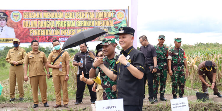 Bupati Gumas Jaya S Monong, Pabung 1016/PLK, dan lainnya saat tanam cabai di Kurun seberang Kecamatan Kurun, Selasa (4/10/2022). (Foto : Diskominfosantik Gumas)