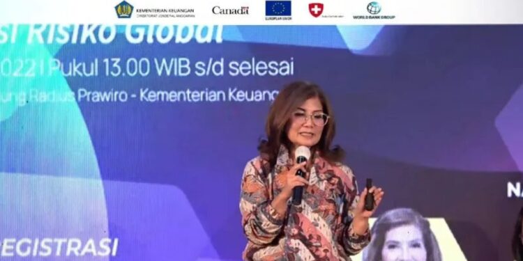 Tangkapan layar Ekonom Senior Institute for Development of Economics and Finance (Indef) Aviliani dalam webinar di Jakarta, Senin (12/12/2022). (MASAPNEWS/ANT)