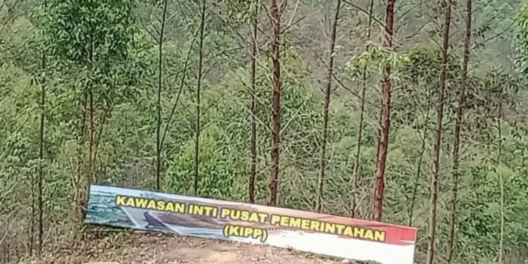 Kawasan inti ibu kota negara (IKN) Indonesia yang baru di Kecamatan Sepaku, Kabupaten Penajam Paser Utara, Kalimantan Timur. (MASAPNEWS/ANT)