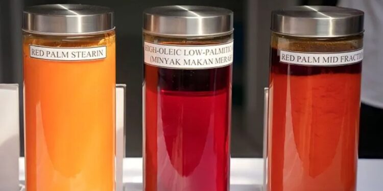 Arsip foto - Sampel minyak makan merah di Pusat Penelitian Kelapa Sawit (PPKS), Medan, Sumatera Utara, Kamis (9/6/2022). (MASAPNEWS/ANT/HO-Kemenkop UKM)