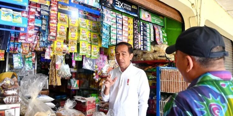Presiden Joko Widodo saat meninjau geliat aktivitas perdagangan dan harga komoditas di Pasar Sentul, Yogyakarta, Minggu (8/1/2023). (MASAPNEWS/ANT/HO-Biro Pers Sekretariat Kepresidenan)