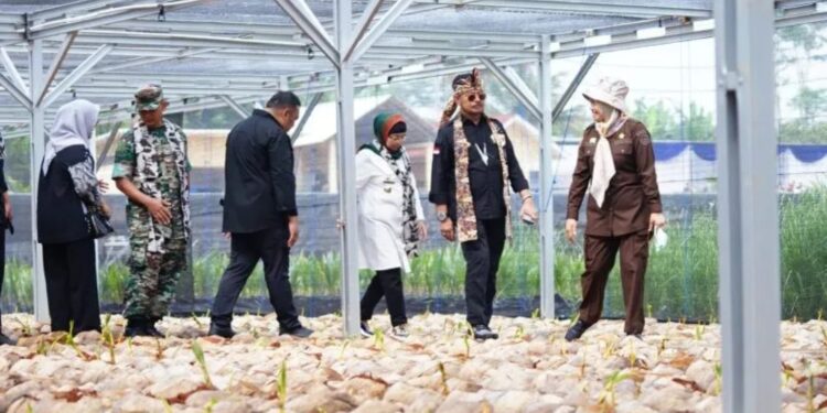 Menteri Pertanian Syahrul Yasin Limpo (dua kanan) saat meresmikan pusat nursery kelapa genjah di Desa Wonorejo, Kecamatan Tulis, Kabupaten Batang, Jawa Tengah, Jumat (20/1/2023). (MASAPNEWS/ANT/HO-Kementan)