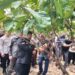Menteri Pertanian Syahrul Yasin Limpo saat melakukan peninjauan perkebunan kakao milik petani di Desa Konaweha Kecamatan Samaturu Kabupaten Kolaka, Kamis. (MASAPNEWS/ANT)