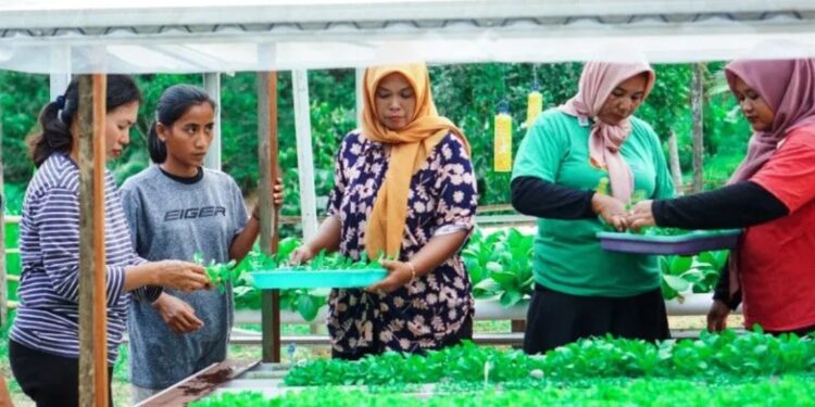 Sri Sudarwati (paling kiri) bersama warga setempat di lahan hidroponik yang ia kembangkan di Desa Suka Raja, Sepaku, Kaltim, Sabtu (4/3) (MASAPNEWS/ ANT / HO OIKN)