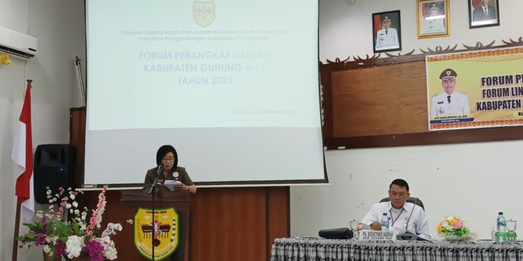 Wabup Gumas Efrensia LP Umbing membuka kegiatan. (IST)