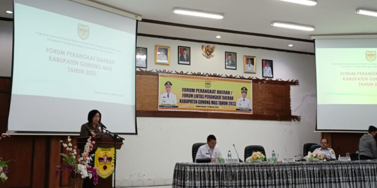 Wabup Gumas Efrensia LP Umbing membuka kegiatan. (IST)