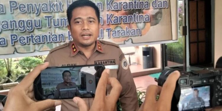 Kepala Karantina Pertanian Tarakan Ahmad Mansuri Alfian. (MASAPNEWS/ANT)