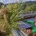 Arsip foto - Warga membersihkan semak belukar di Stasiun Panel Tenaga Surya, Dusun Tapian Nambar, Talawi Mudiak, Sawahlunto, Sumatera Barat, Rabu (1/12/2021). (MASAPNEWS/ANT)