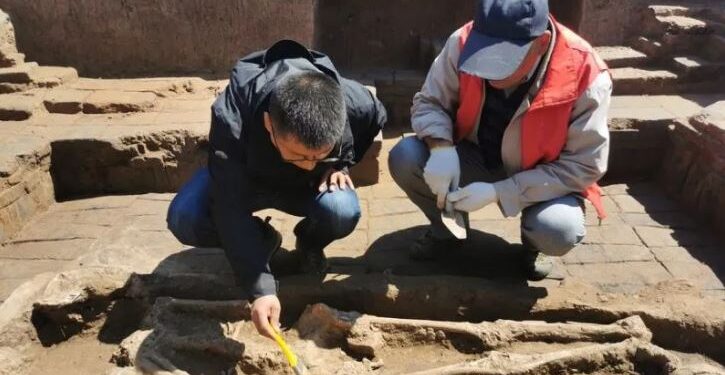 Foto yang diambil pada bulan April 2023 yang menunjukkan para arkeolog China sedang meneliti sebuah situs penggalian di Kota Linghai di Provinsi Liaoning, China timur laut. (Xinhua) (ANT/IST)