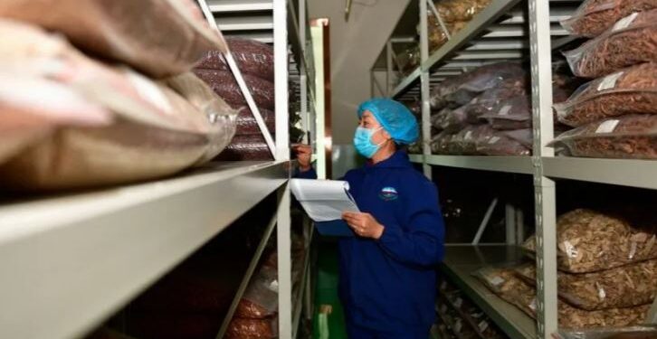 Buku medis Tibet kuno masuk dalam Daftar Warisan Ingatan Dunia UNESCO