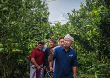 MenKopUKM Teten Masduki saat melakukan Kunjungan ke Koperasi Produsen Tani Kini Dharma Kriya dengan Komoditas Unggulan Kopi Arabika dan Jeruk Siam di Kintamani, Kabupaten Bangli, Bali, Senin (1/5/2023). (MASAPNEWS/ANT/HO-KemenKopUKM)
