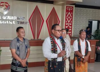 Wakil Gubernur NTT Josef Nae Soi. (MASAPNEWS/ANT)