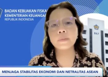 Kepala Pusat Kebijakan Regional dan Bilateral BKF Nella Sri Hendriyetty menjelaskan tentang kerja sama LCS dalam webinar yang dipantau secara virtual di Jakarta, Rabu (3/5/2023). (MASAPNEWS/ANT)