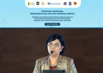 Deputi Gubernur Senior Bank Indonesia (BI) Destry Damayanti berbicara dalam acara Gerakan Nasional Pengendalian Inflasi Pangan (GNPIP) Bali dan Nusa Tenggara (Balinusra) yang dipantau secara dalam jaringan di Jakarta, Rabu (17/5/2023). (MASAPNEWS/ANT)