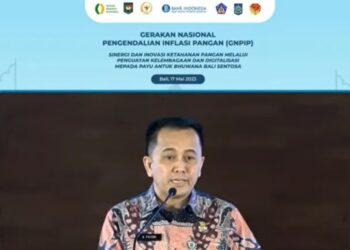 Direktur Jenderal Bina Keuangan Daerah Kementerian Dalam Negeri (Kemendagri) Agus Fatoni berbicara dalam acara Gerakan Nasional Pengendalian Inflasi Pangan (GNPIP) Bali dan Nusa Tenggara (Balinusra) yang dipantau dalam jaringan di Jakarta, Rabu (17/5/2023). (MASAPNEWS/ANT)