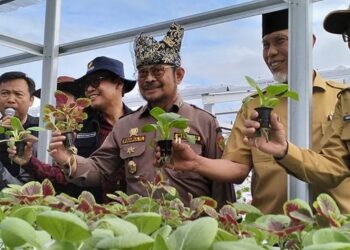 Menteri Pertanian (Mentan) RI Syahrul Yasin Limpo meninjau lokasi gelar percontohan pertanian di kawasan Lapangan Udara (Lanud) Sutan Sjahrir, Kota Padang, Sumatera Barat, Selasa (30/5/2023). (MASAPNEWS/ANT)