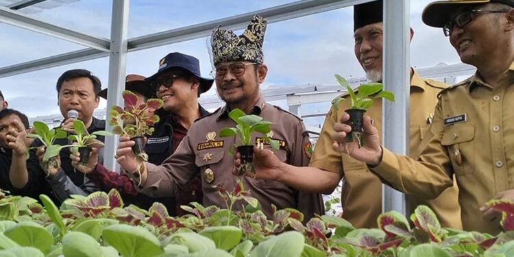 Menteri Pertanian (Mentan) RI Syahrul Yasin Limpo meninjau lokasi gelar percontohan pertanian di kawasan Lapangan Udara (Lanud) Sutan Sjahrir, Kota Padang, Sumatera Barat, Selasa (30/5/2023). (MASAPNEWS/ANT)