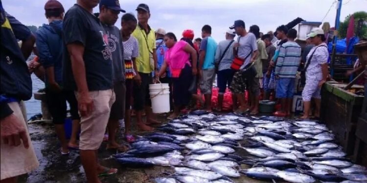Sektor Perikanan yang bisa dilirik oleh investor dari negara-negara di ASEAN (MASAPNEWS/ANT)
