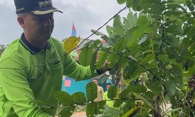 Bupati Gumas, Jaya S Monong. (IST)