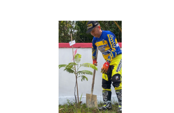 Bupati Gunung Mas Jaya S Monong menanam bibit pohon. (IST)