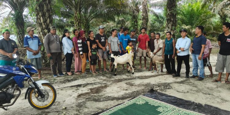 Legislator Gunung Mas Cici Susilawati memantau penyaluran bibit kambing kepada Poktan Berkat Fajar Harapan Jaya Desa Fajar Harapan Kecamatan Manuhing, baru-baru ini. (IST)