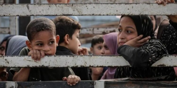 Anak-anak duduk di belakang truk saat warga Palestina berangkat dari bagian utara Gaza untuk meninggalkan Jalur Gaza bagian tengah dan selatan pada 10 November 2023. (MASAPNEWS/ANT/Anadolu)
