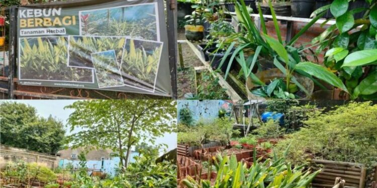 Ilustrasi: Taman toga bisa juga dibangun bersama dalam sebuah lingkungan masyarakat. (MASAPNEWS/ANT)