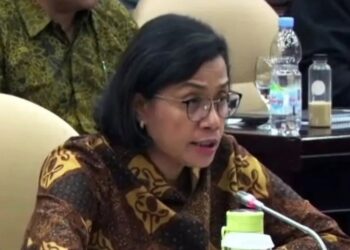 Tangkapan layar - Menteri Keuangan Sri Mulyani Indrawati saat Rapat Kerja bersama Komite IV DPD RI di Jakarta, Selasa (11/6/2024). (MASAPNEWS/ANT)