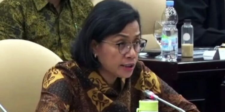 Tangkapan layar - Menteri Keuangan Sri Mulyani Indrawati saat Rapat Kerja bersama Komite IV DPD RI di Jakarta, Selasa (11/6/2024). (MASAPNEWS/ANT)