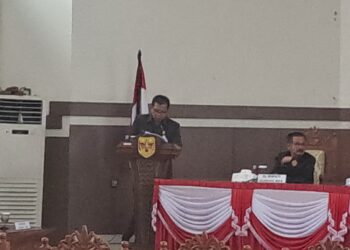 Juru bicara Fraksi PDIP DPRD Gumas Edyson D Kenting. (MASAPNEWS/GCM)