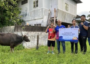 Penyerahan sapi kurban secara simbolis oleh Telkomsel untuk seluruh penerima di Indonesia. (MASAPNEWS/ANT/HO Humas Telkomsel)