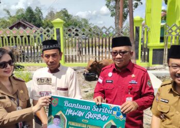 Penyerahan sapi kurban dari Pemprov Kalteng secara simbolis di Kuala Kurun, Selasa (11/6/2024). (IST)