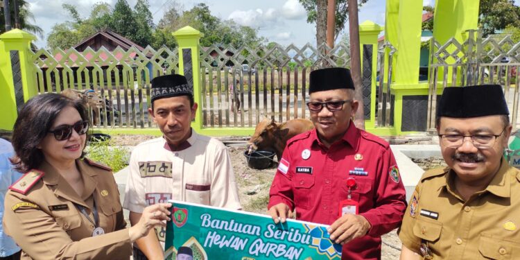 Penyerahan sapi kurban dari Pemprov Kalteng secara simbolis di Kuala Kurun, Selasa (11/6/2024). (IST)