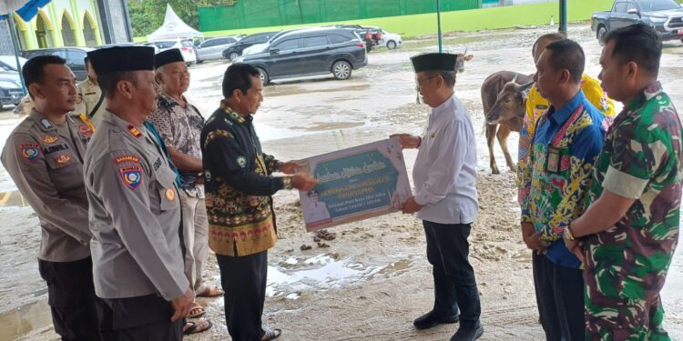 Penjabat Bupati Gumas Herson B Aden (baju putih) menyerahkan secara simbolis sapi kurban kepada Ketua DMI kabupaten HM Rusdi di Kuala Kurun, Kamis (13/6/2024). (IST)