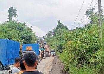 Antrean kendaraan di ruas jalan Kuala Kurun-Palangka Raya tepatnya di Desa Rabauh, Kecamatan Sepang, Kabupaten Gunung Mas, Selasa (2/7/2024). (IST)