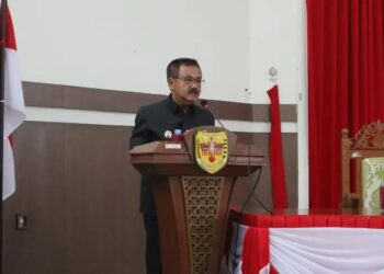 Pj Bupati Gumas Herson B Aden. (Foto : Diskominfosantik Gumas)