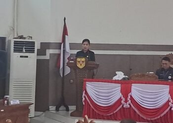 kata Juru Bicara Fraksi PDIP Kabupaten Gumas Elvi Esie.