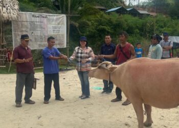 Legislator Kabupaten Gumas Cici Susilawati (kemeja kotak-kotak) menyerahkan bantuan pokir secara simbolis kepada panitia tiwah massal di Desa Tangki Dahuyan Kecamatan Manuhing, Sabtu (6/7/2024). (IST)