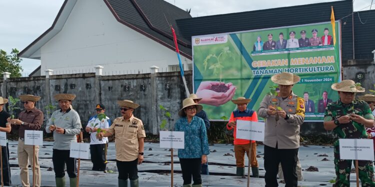 Gumas canangkan gerakan tanam hortikultura
