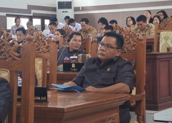 Ketua Fraksi Partai Perindo DPRD Kabupaten Gunung Mas, Darwinson Concon. (MASAPNEWS/GCM)