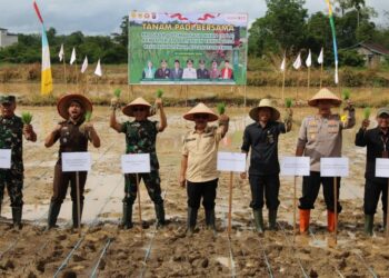 Pj Bupati Gumas Tanam Padi Bersama Forkopimda di Kelurahan Tewah