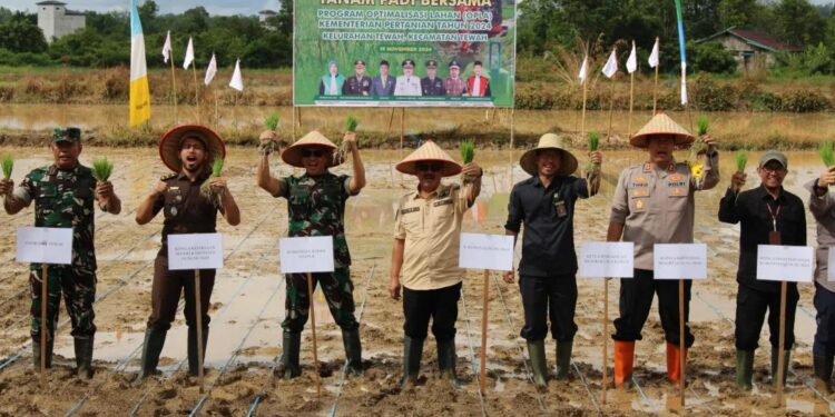 Pj Bupati Gumas Tanam Padi Bersama Forkopimda di Kelurahan Tewah