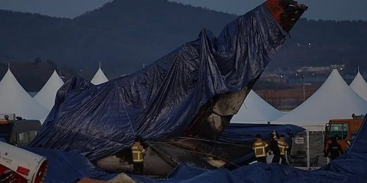 Para petugas damkar menutupi sayap ekor pesawat Jeju Air dengan terpal di lokasi kecelakaan di Bandara Internasional Muan, Jeolla Selatan, Korea Selatan, pada 4 Januari 2025, setelah operasi pencarian diakhiri. (MASAPNEWS/ANT)