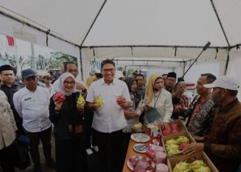 Bupati Banyuwangi Ipuk Fiestiandani mendampingi Wakil Menteri Pertanian Sudaryono saat kunjungan kerja ke Banyuwangi, jawa Timur. Minggu (5/1/2025). (MASAPNEWS/ANT/HO-Humas Pemkab Banyuwangi)