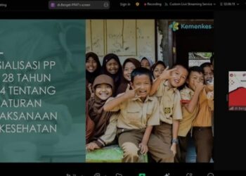 Tangkapan layar - Ketua Tim Kerja Pengendalian Penyakit Akibat Tembakau (PPAT) Kemenkes RI Benget Saragih dalam seminar daring yang bertajuk "Partisipasi Kreatif Publik dalam Sosialisasi PP Nomor 28/2024 Bagian Pengamanan Zat Adiktif" di Jakarta, Jumat (10/1/2025). (MASAPNEWS/ANT/HO-PPAT Kemenkes RI)