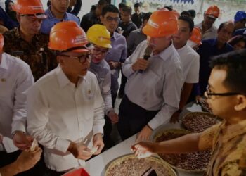 Menko Pangan Zulkifli Hasan melihat kualitas kakao yang dikumpulkan dari petani saat kunjungan kerja di Makassar, 16-17 Januari 2025. (MASAPNEWS/ANT/HO-Humas Pemprov Sulsel)